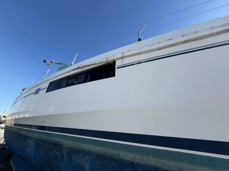 Slide: The Image of Leopard 48 2015 - 5913513