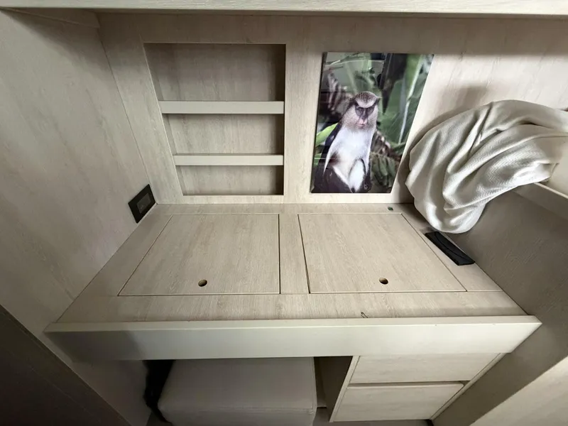 Slide: The Image of Leopard 48 2015 - 5913565