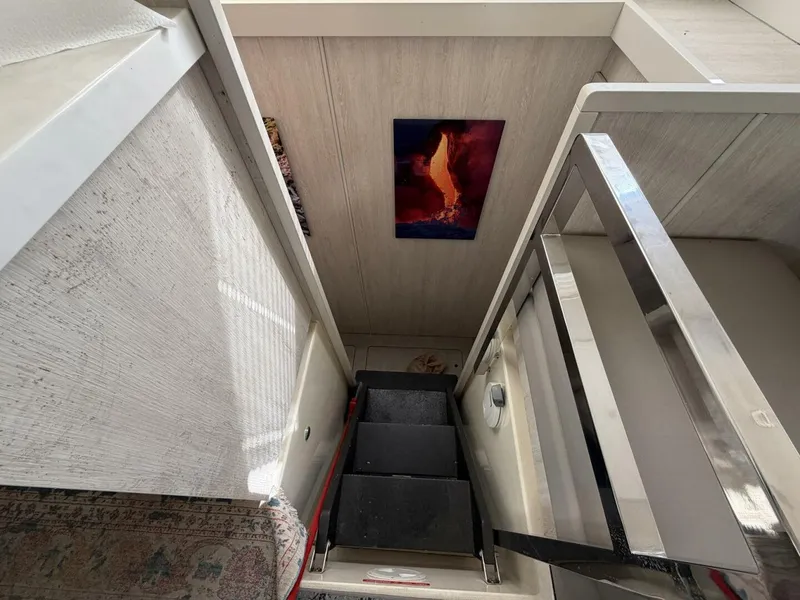 Slide: The Image of Leopard 48 2015 - 5913567