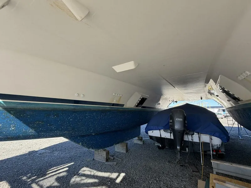 Slide: The Image of Leopard 48 2015 - 5913515