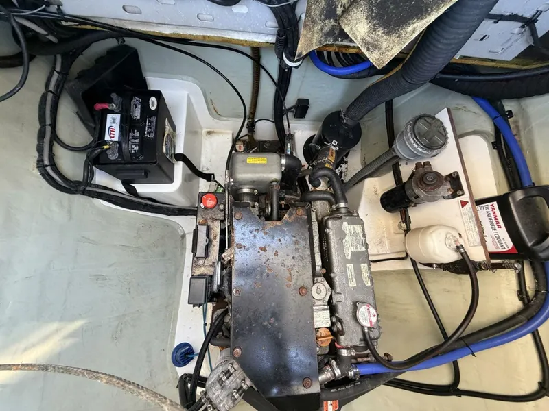 Slide: The Image of Leopard 48 2015 - 5913571