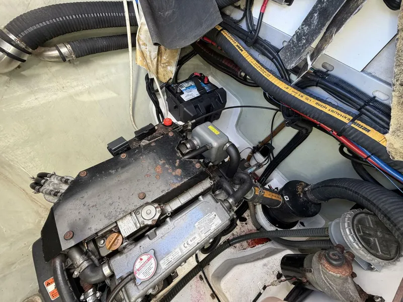 Slide: The Image of Leopard 48 2015 - 5913572