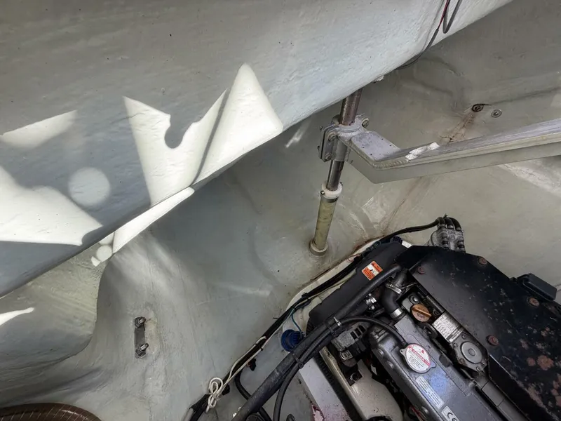 Slide: The Image of Leopard 48 2015 - 5913573