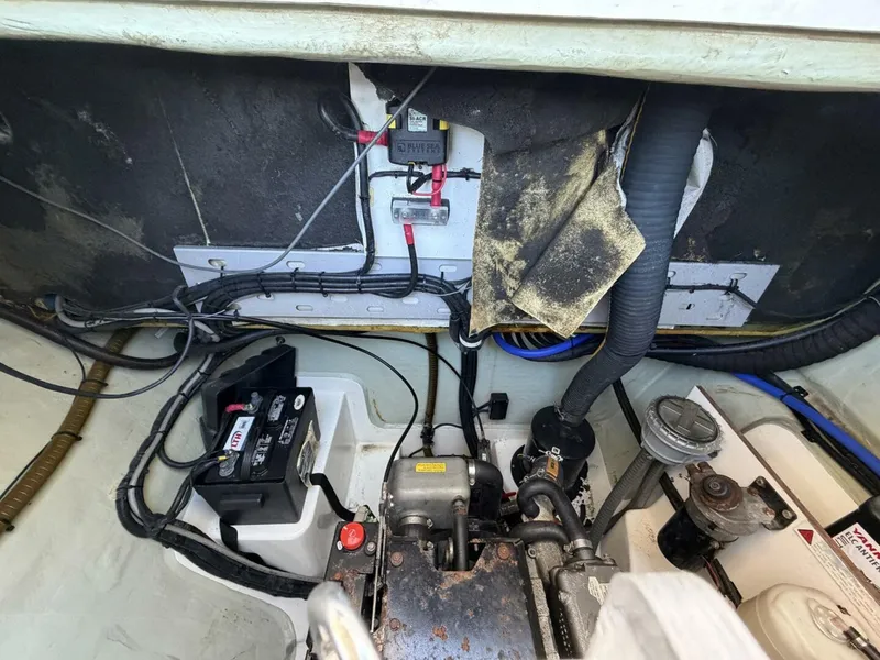 Slide: The Image of Leopard 48 2015 - 5913574