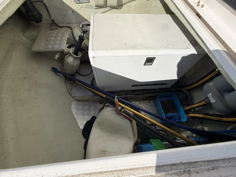 Slide: The Image of Leopard 48 2015 - 5913575