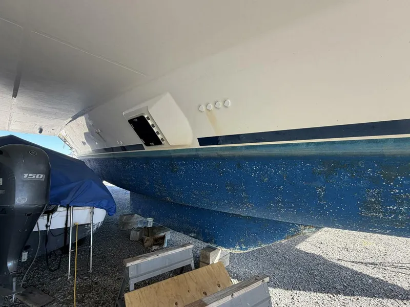 Slide: The Image of Leopard 48 2015 - 5913516