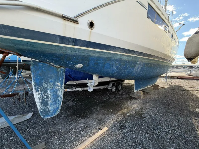 Slide: The Image of Leopard 48 2015 - 5913517