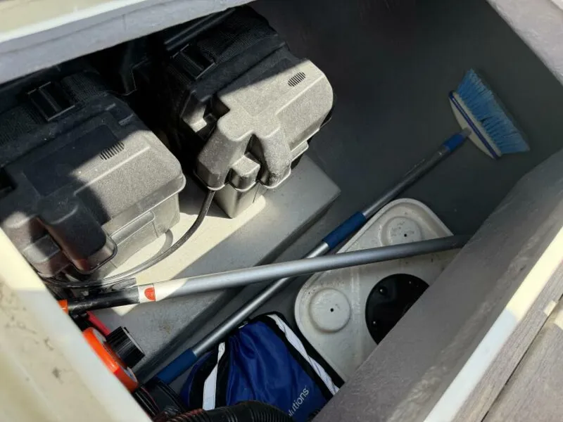 Slide: The Image of Horizon Cat - 5913865