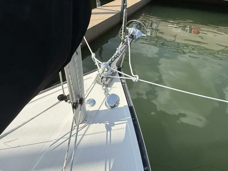 Slide: The Image of Horizon Cat - 5913878