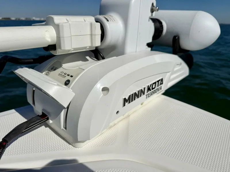 Slide: The Image of 2020 Everglades 243 CC  - 5915389