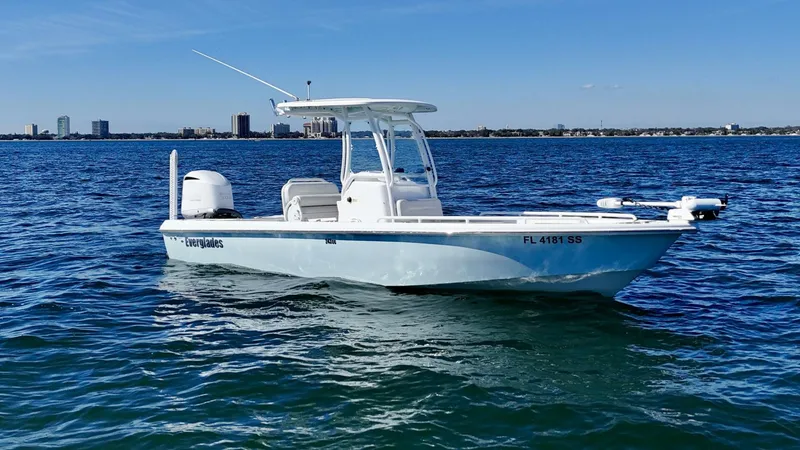 Slide: The Image of 2020 Everglades 243 CC - Profile  - 5915362