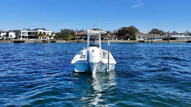 Slide: The Image of 2020 Everglades 243 CC - Profile - 5915364