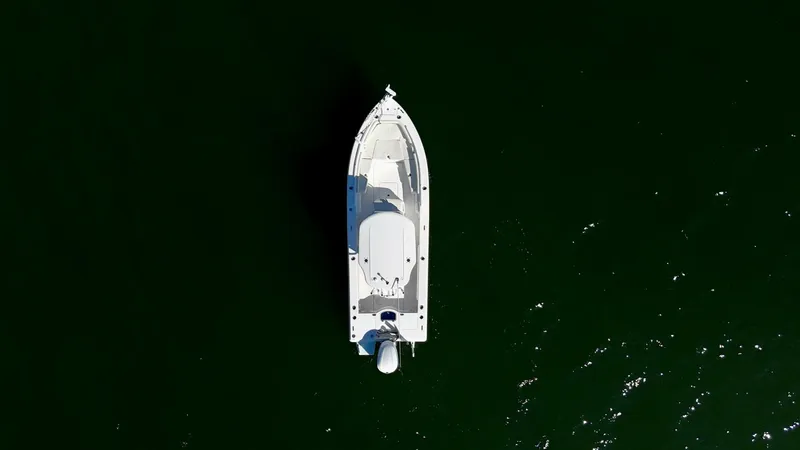 Slide: The Image of 2020 Everglades 243 CC - Profile - 5915367