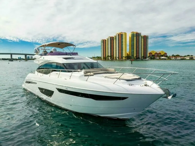 Slide: The Image of Princess 65 - Profile 2016 Princess 65 S65 - 7648698