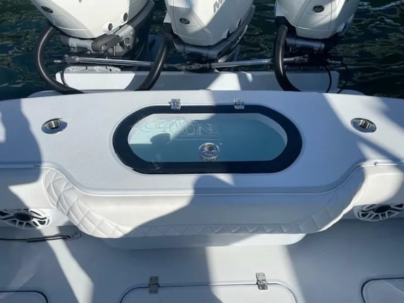 Slide: The Image of Conch 33 2022 - 5917963