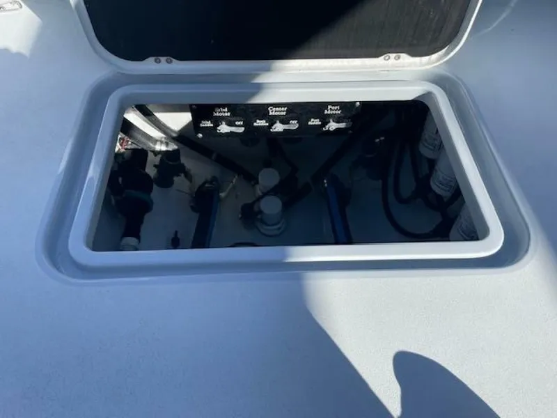 Slide: The Image of Conch 33 2022 - 5917964