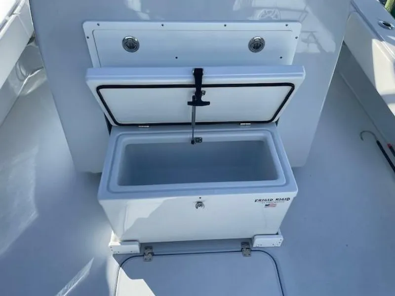 Slide: The Image of Conch 33 2022 - 5917965