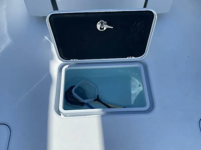 Slide: The Image of Conch 33 2022 - 5917966