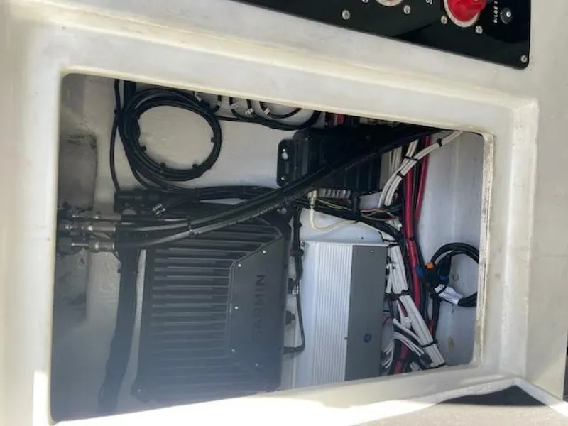 Slide: The Image of Conch 33 2022 - 5917973