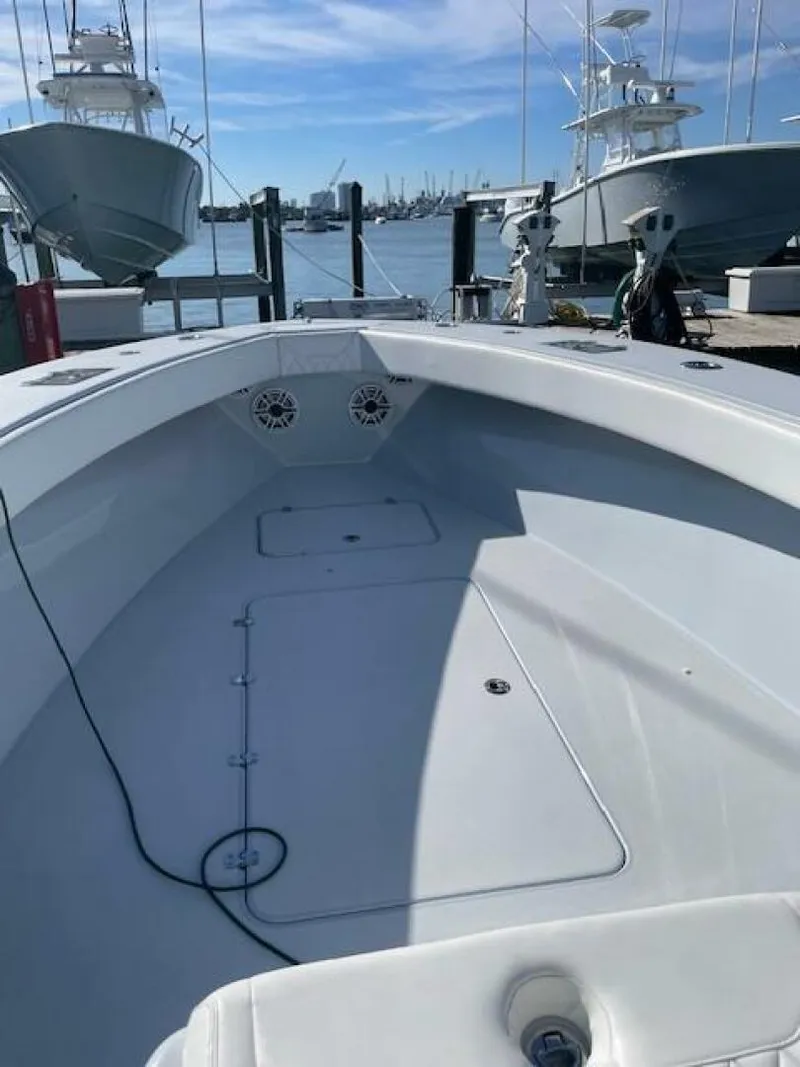 Slide: The Image of Conch 33 2022 - 5917992