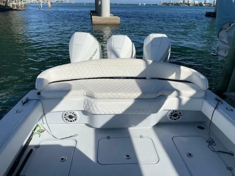 Slide: The Image of Conch 33 2022 - 5917955