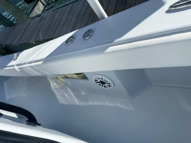 Slide: The Image of Conch 33 2022 - 5917959