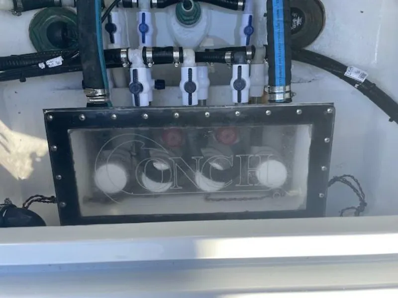 Slide: The Image of Conch 33 2022 - 5917962