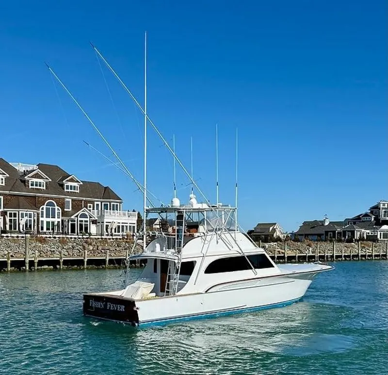 Slide: The Image of 0005538771 - 5918961