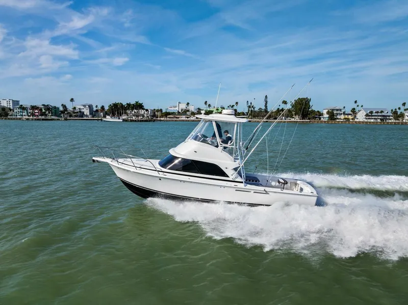 Slide: The Image of Bertram 35 Flybridge 2017 - 5921824