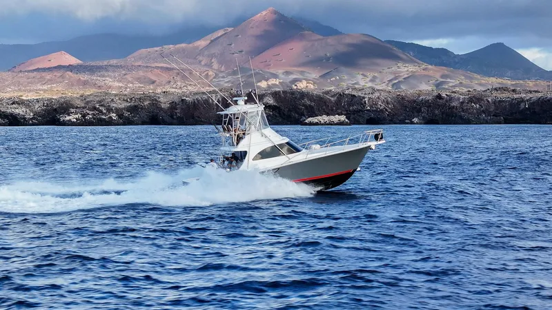 The Image of Viking 38 Billfish 2025 - undefined