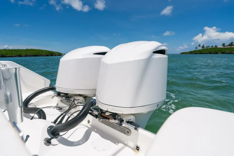 Slide: The Image of Edgewater 318CC 2017 - 5926738