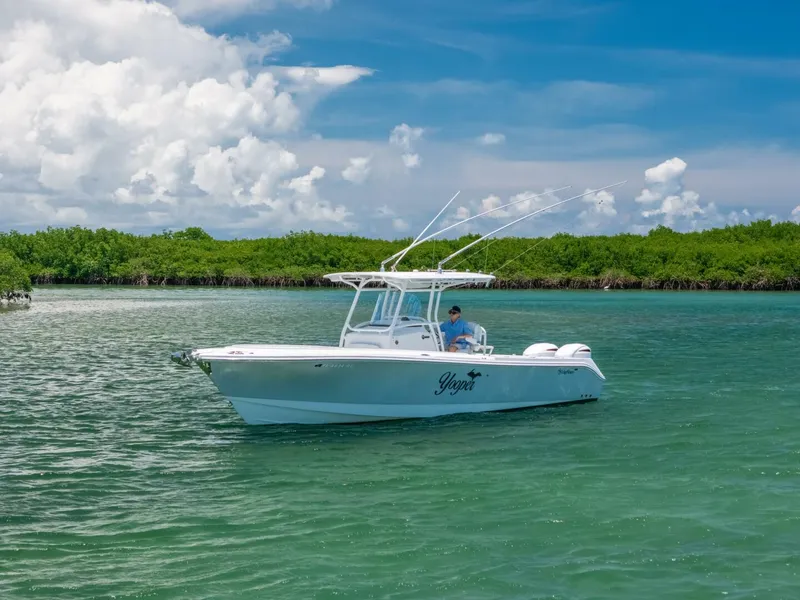 Slide: The Image of Edgewater 318CC 2017 - 5926749