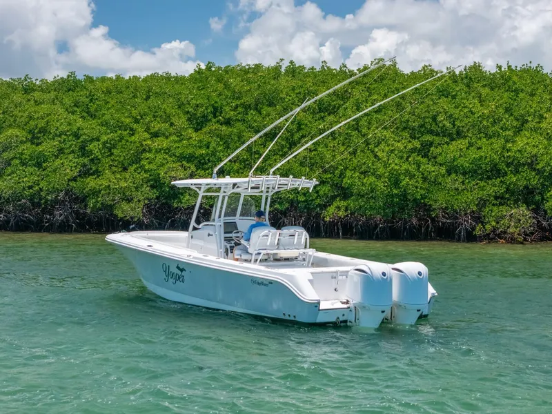 Slide: The Image of Edgewater 318CC 2017 - 5926750