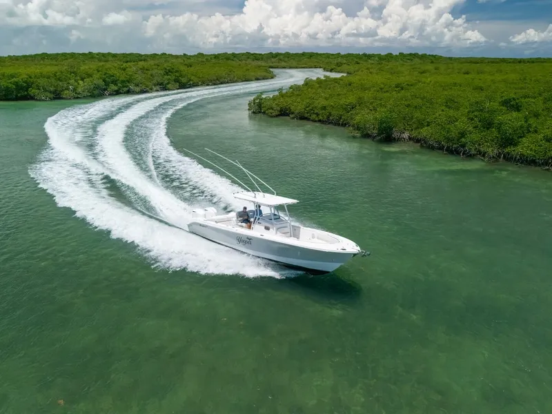 Slide: The Image of Edgewater 318CC 2017 - 5926754