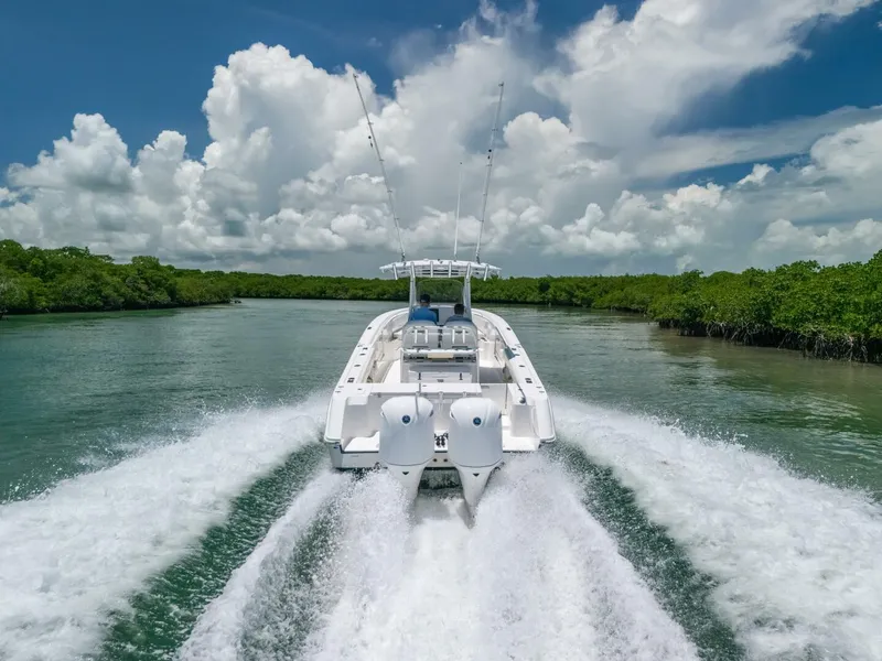 Slide: The Image of Edgewater 318CC 2017 - 5926755