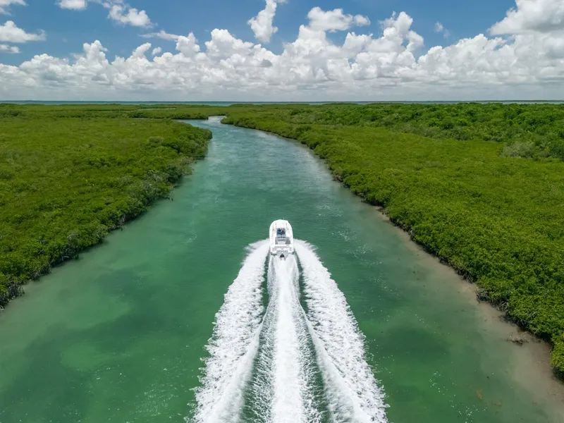 Slide: The Image of Edgewater 318CC 2017 - 5926756