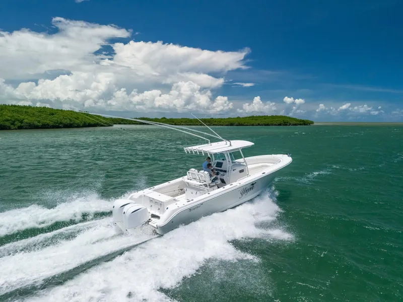 Slide: The Image of Edgewater 318CC 2017 - 5926757