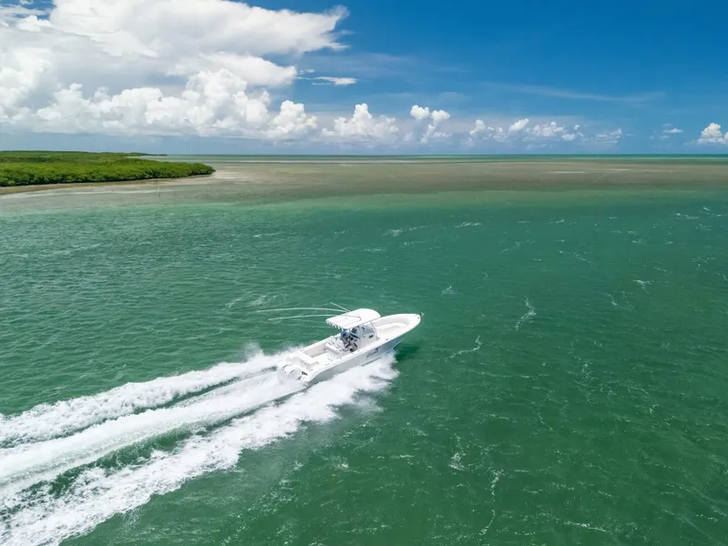 Slide: The Image of Edgewater 318CC 2017 - 5926758