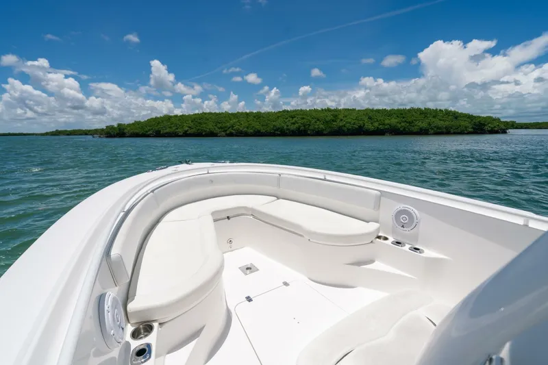 Slide: The Image of Edgewater 318CC 2017 - 5926723