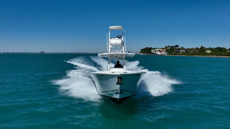 Slide: The Image of Jupiter 38 HFS 2019 - 5926852