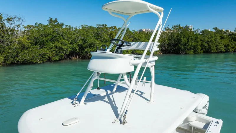 Slide: The Image of Jupiter 38 HFS 2019 - 5926854