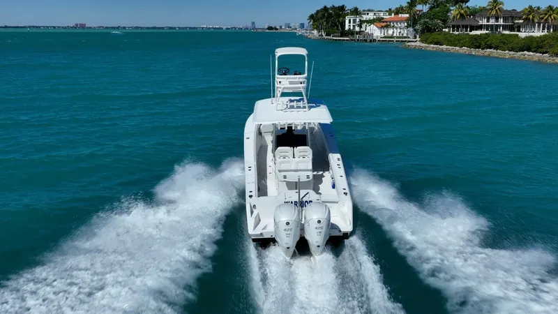 Slide: The Image of Jupiter 38 HFS 2019 - 5926887