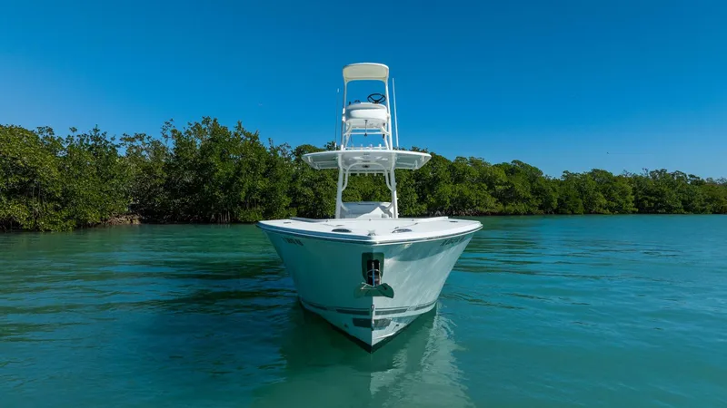 Slide: The Image of Jupiter 38 HFS 2019 - 5926896