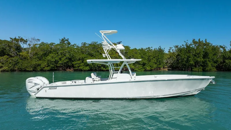 Slide: The Image of Jupiter 38 HFS 2019 - 5926902