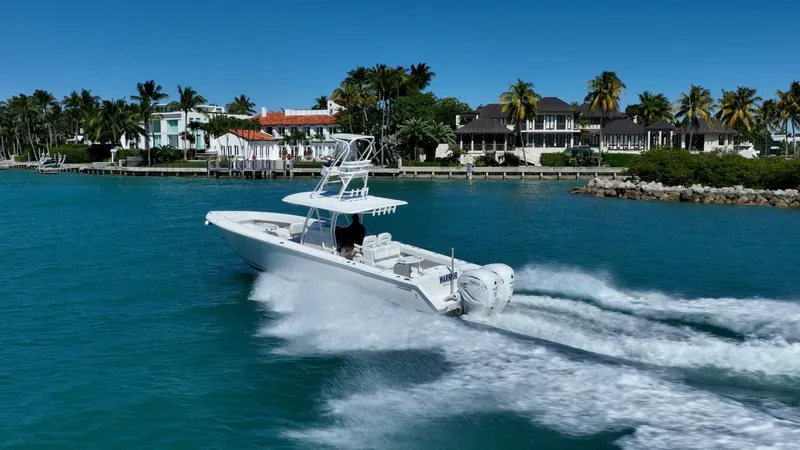 Slide: The Image of Jupiter 38 HFS 2019 - 5926907