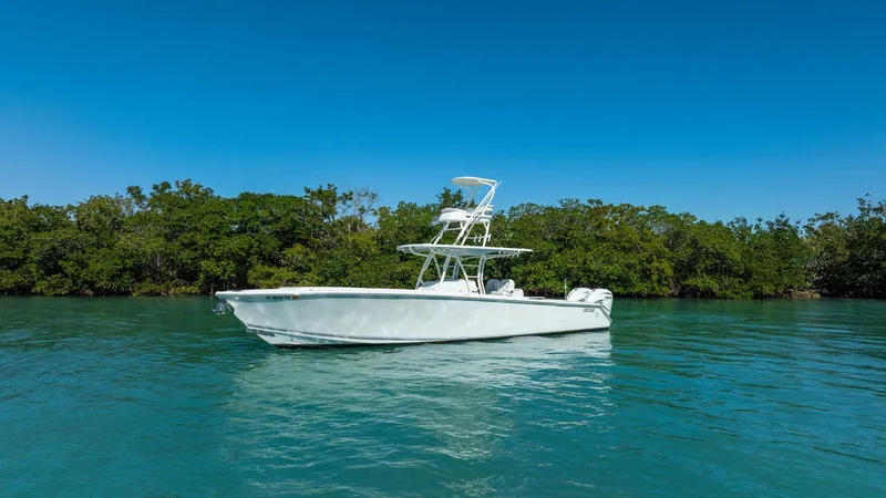 Slide: The Image of Jupiter 38 HFS 2019 - 5926915