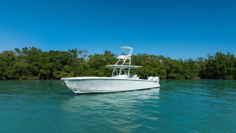 Slide: The Image of Jupiter 38 HFS 2019 - 5926916