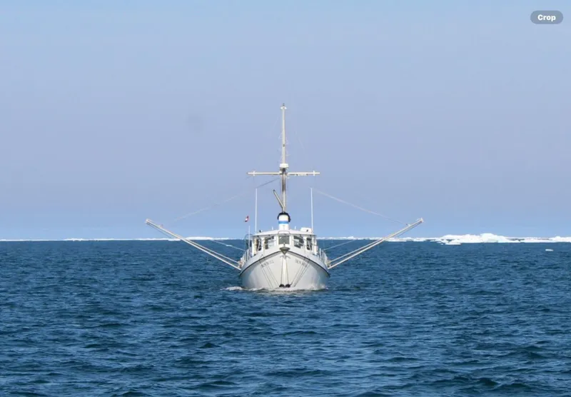 Slide: The Image of Custom Sprague 2006 - 5927676