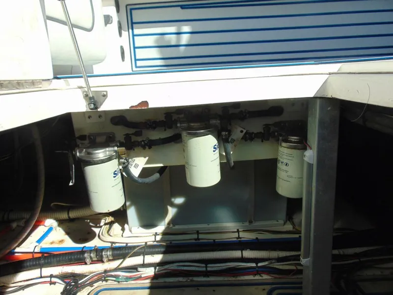 Slide: The Image of Stamas 390 Tarpon 2019 - 5929915