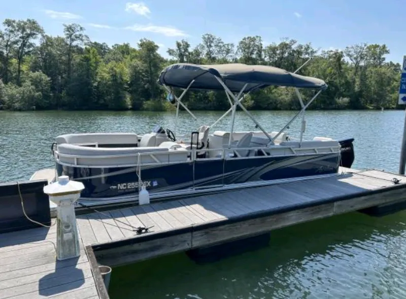 The Image of Avalon 23 2022 - 5933027